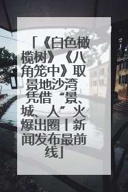 《白色橄榄树》《八角笼中》取景地沙湾 凭借“景、城、人”火爆出圈丨新闻发布最前线
