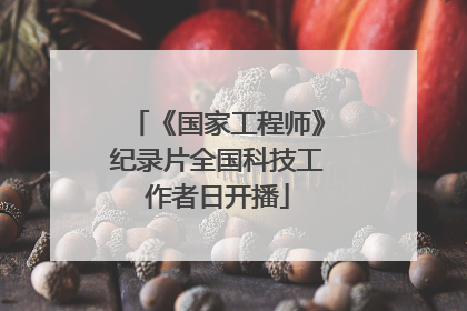 《国家工程师》纪录片全国科技工作者日开播