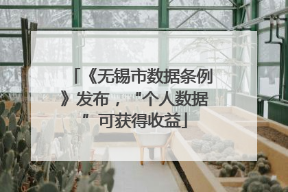 《无锡市数据条例》发布，“个人数据”可获得收益