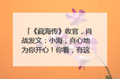《藏海传》收官，肖战发文：小海，真心地为你开心！你看，有这么多人懂你！