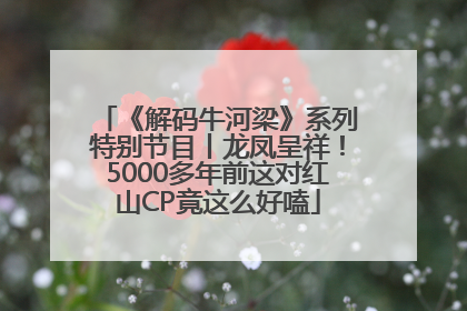 《解码牛河梁》系列特别节目丨龙凤呈祥！5000多年前这对红山CP竟这么好嗑