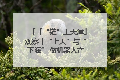 「“链”上天津」观察｜“上天”与“下海” 做机器人产业链细分领域强者