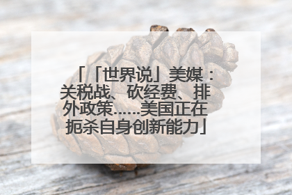 「世界说」美媒：关税战、砍经费、排外政策……美国正在扼杀自身创新能力