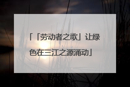 「劳动者之歌」让绿色在三江之源涌动