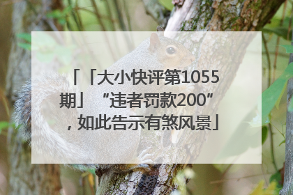 「大小快评第1055期」“违者罚款200”，如此告示有煞风景