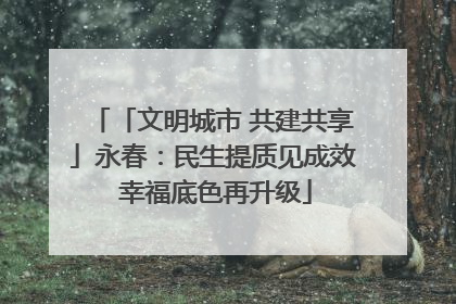 「文明城市 共建共享」永春：民生提质见成效 幸福底色再升级