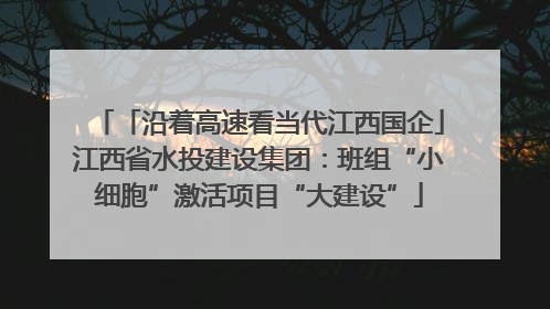 「沿着高速看当代江西国企」江西省水投建设集团：班组“小细胞”激活项目“大建设”