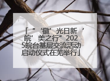 “‘徽’光日新‘皖’美之行”2025皖台基层交流活动启动仪式在芜举行