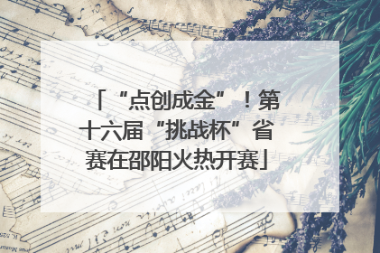 “点创成金”！第十六届“挑战杯”省赛在邵阳火热开赛