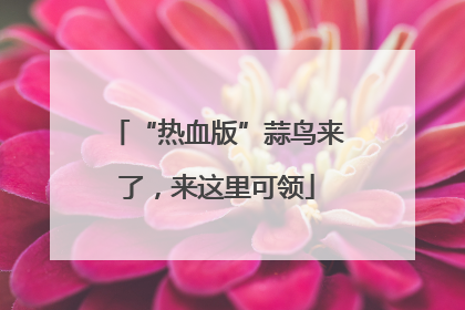 “热血版”蒜鸟来了，来这里可领