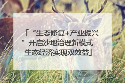 “生态修复+产业振兴”开启沙地治理新模式 生态经济实现双效益