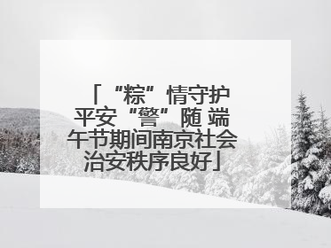 “粽”情守护 平安“警”随 端午节期间南京社会治安秩序良好