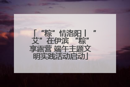 “粽”情洛阳丨“艾”在伊滨 “粽”享露营 端午主题文明实践活动启动