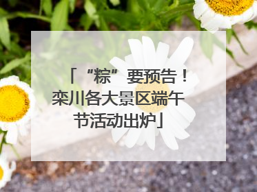 “粽”要预告！栾川各大景区端午节活动出炉
