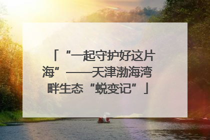 “一起守护好这片海”——天津渤海湾畔生态“蜕变记”