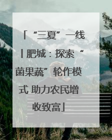 “三夏”一线丨肥城：探索“菌果蔬”轮作模式 助力农民增收致富