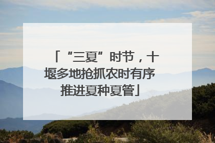 “三夏”时节，十堰多地抢抓农时有序推进夏种夏管