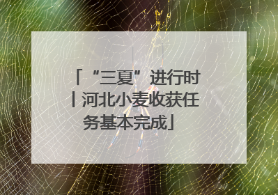“三夏”进行时丨河北小麦收获任务基本完成