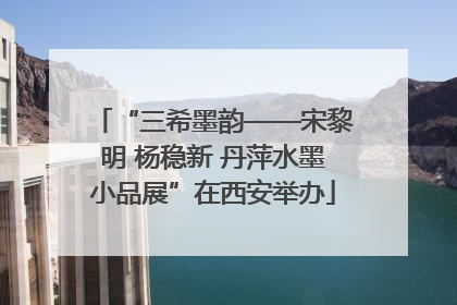 “三希墨韵——宋黎明 杨稳新 丹萍水墨小品展”在西安举办