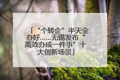 “个转企”半天全办好……无锡发布“高效办成一件事”十大创新场景