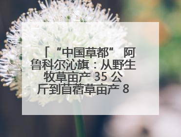 “中国草都” 阿鲁科尔沁旗：从野生牧草亩产 35 公斤到苜蓿草亩产 800 公斤以上