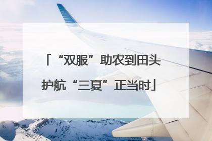 “双服”助农到田头 护航“三夏”正当时