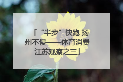 “半步”快跑 扬州不慢——体育消费江苏观察之三