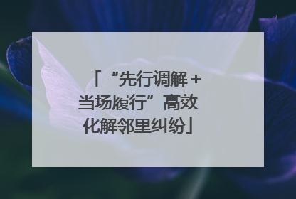 “先行调解＋当场履行”高效化解邻里纠纷