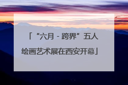 “六月 - 跨界”五人绘画艺术展在西安开幕