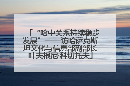 “哈中关系持续稳步发展”——访哈萨克斯坦文化与信息部副部长叶夫根尼·科切托夫