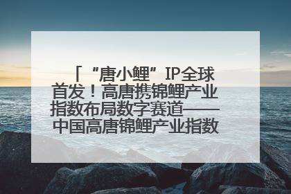 “唐小鲤”IP全球首发！高唐携锦鲤产业指数布局数字赛道——中国高唐锦鲤产业指数暨“唐小鲤”IP全球首发仪式在杭州举行