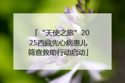“天使之旅”2025西藏先心病患儿筛查救助行动启动