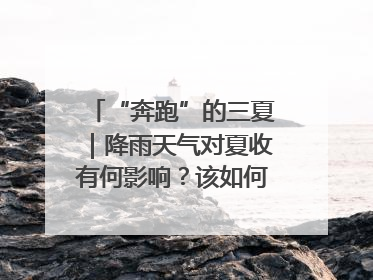 “奔跑”的三夏｜降雨天气对夏收有何影响？该如何防范？一文了解