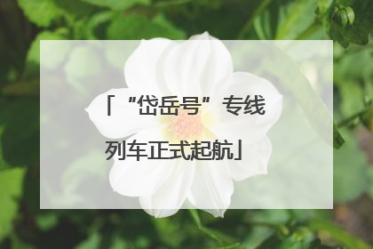 “岱岳号”专线列车正式起航