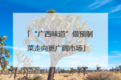 “广西味道”借预制菜走向更广阔市场