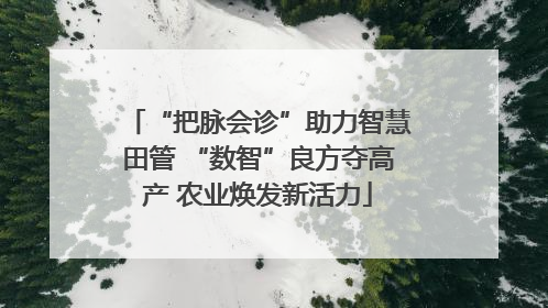 “把脉会诊”助力智慧田管 “数智”良方夺高产 农业焕发新活力