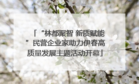 “林都聚智 新质赋能”民营企业家助力伊春高质量发展主题活动开幕