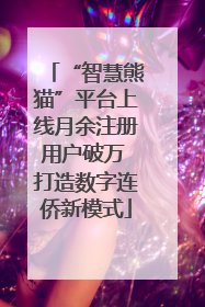 “智慧熊猫”平台上线月余注册用户破万 打造数字连侨新模式