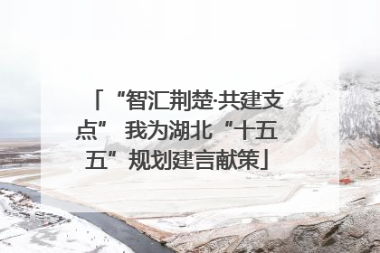 “智汇荆楚·共建支点” 我为湖北“十五五”规划建言献策