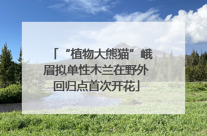 “植物大熊猫”峨眉拟单性木兰在野外回归点首次开花
