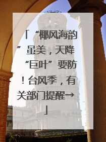 “椰风海韵”虽美，天降“巨叶”要防！台风季，有关部门提醒→