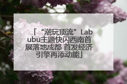 “潮玩顶流”Labubu主题快闪西南首展落地成都 首发经济引擎再添动能