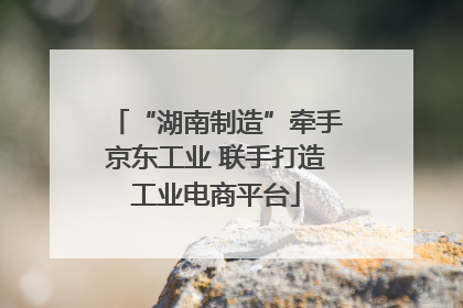 “湖南制造”牵手京东工业 联手打造工业电商平台
