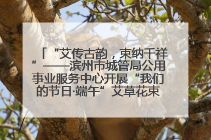 “艾传古韵，束纳千祥”——滨州市城管局公用事业服务中心开展“我们的节日·端午”艾草花束制作主题活动