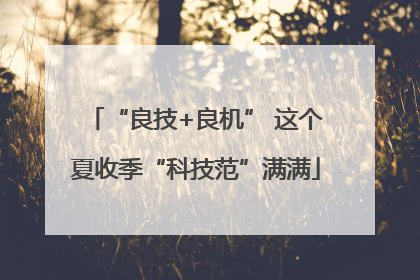 “良技+良机” 这个夏收季“科技范”满满