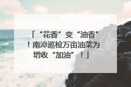 “花香”变“油香”！南漳巡检万亩油菜为增收“加油”！