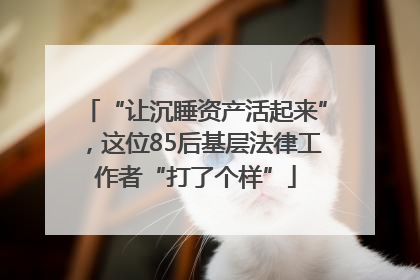 “让沉睡资产活起来”，这位85后基层法律工作者“打了个样”