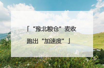 “豫北粮仓”麦收跑出“加速度”