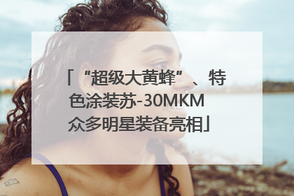 “超级大黄蜂”、特色涂装苏-30MKM 众多明星装备亮相