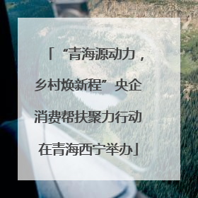 “青海源动力，乡村焕新程”央企消费帮扶聚力行动在青海西宁举办